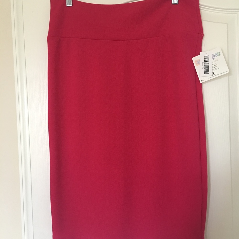 BNWT LuLaRoe Cassie Skirt Size XL